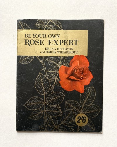 Your own rose expert - rose, dr