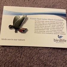 Not RSPB Birdlife Australia Pin Badge Forest Red Tailed Black-Cockatoo