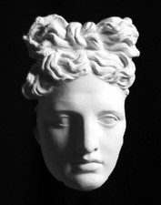 Apollo Belvedere Plaster Cast