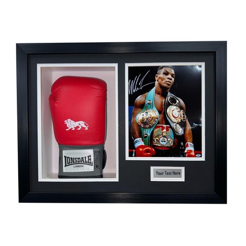 Boxing glove display - glove, 3d