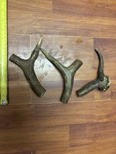 Fallow Deer Antlers Natural