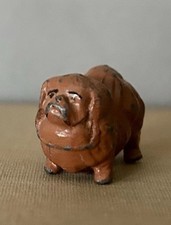 Cute Little Old Pomeranian Dog