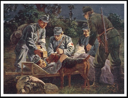 Airedale terrier red cross war - terrier,