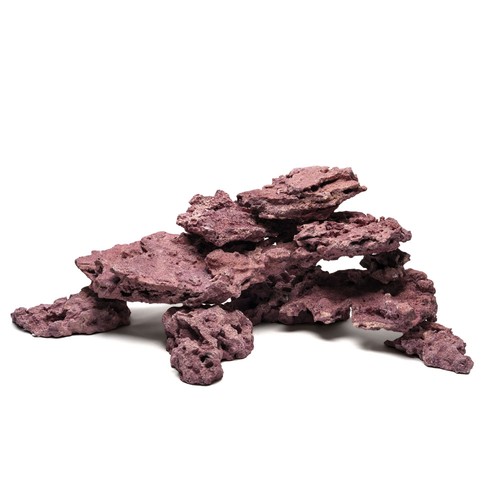 Marco rock coral line reef - d-d,