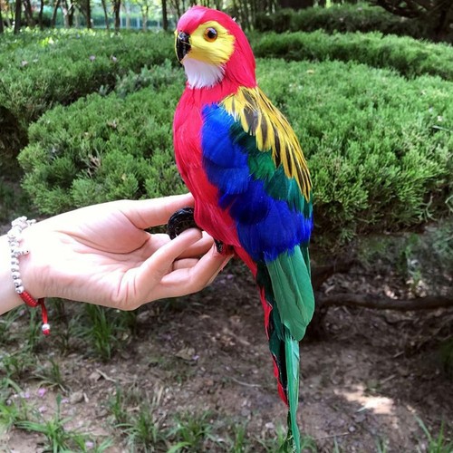 Simulation parrot statue - simulation,