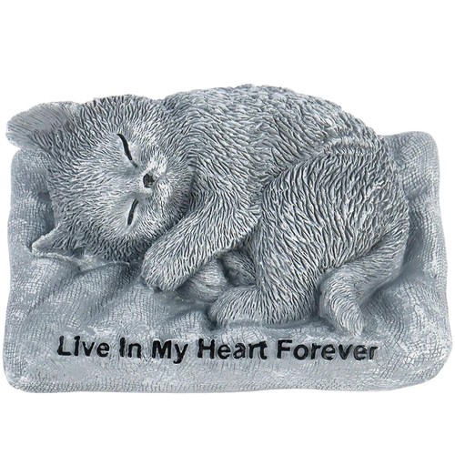 Small gray sleeping - sleeping, cat