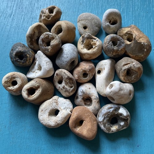 Twenty natural hag stones - natural,