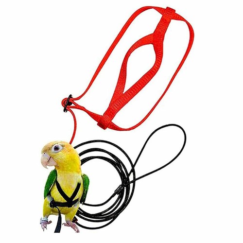 Adjustable parrot bird harness - bird,