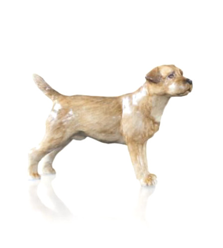 Richard cooper studio - cooper, bone