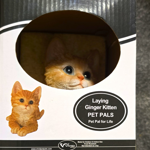 Vivid arts pet - vivid,