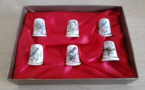Boxed theodore paul - boxed,