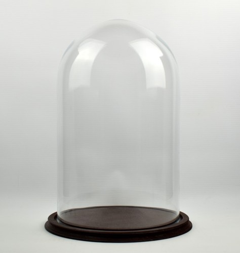 Clear circular glass - clear, with