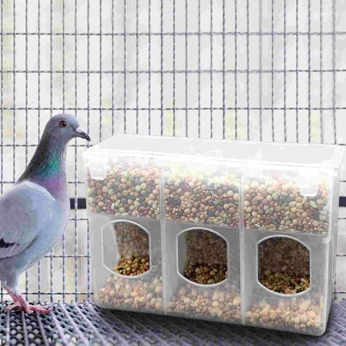 Automatic bird feeder pigeon - automatic,