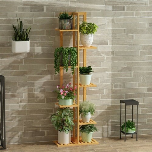 Slim tall wood - bamboo, plant