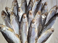 Stockfish Roach (lat. Rutilus