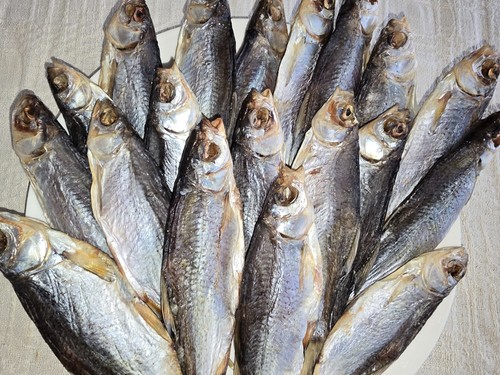 Stockfish roach lat rutilus - roach, (lat.
