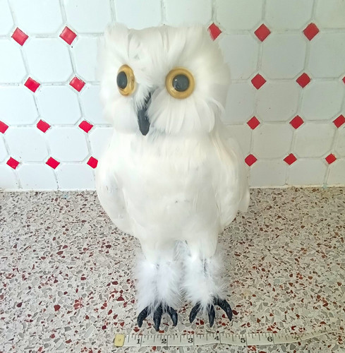 White owl taxidermy - white,