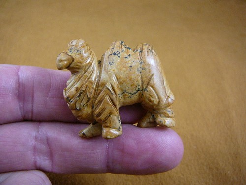 Little tan camel - tan,
