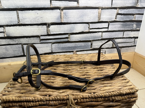 Hand showing bridle - s/h,