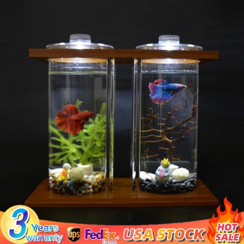 Dual glass desktop fish - dual,