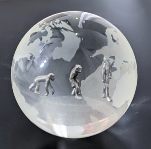 Rare evolution man world - of,