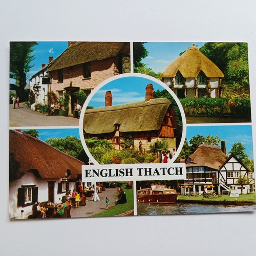English thatch multiview - –,