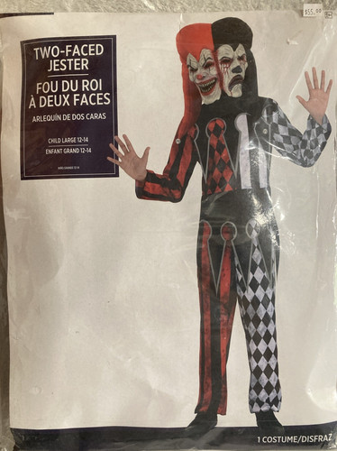Two faced jester evil clown - two-faced,