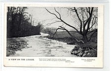 A VIEW ON THE LUGGIE: Dunbartonshire postcard (C90873)