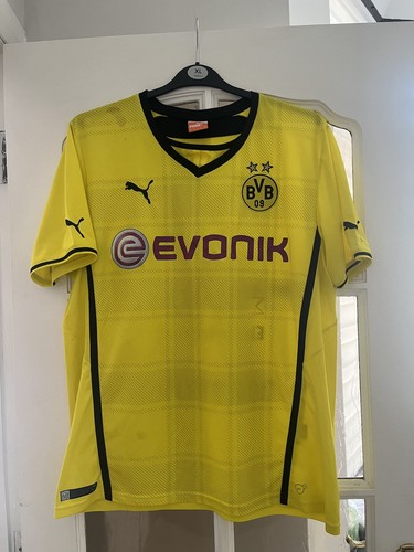 Borussia dortmund 2013 - borussia,