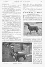 GOMERSAL Yorkshire Mason & Woods Dog Kennels 2x Antique Prints 1900