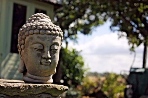 New buddha head small garden - new,