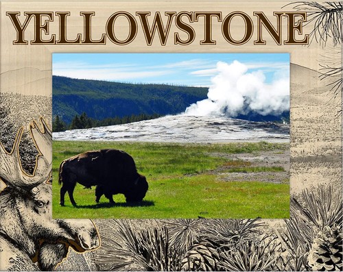Yellowstone national park with - national,