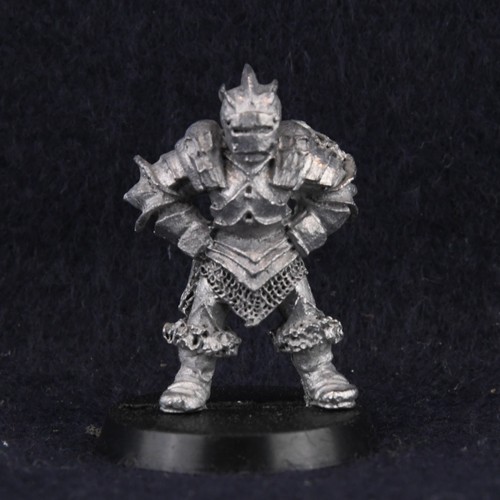 Realm chaos warrior zarygor - chaos,