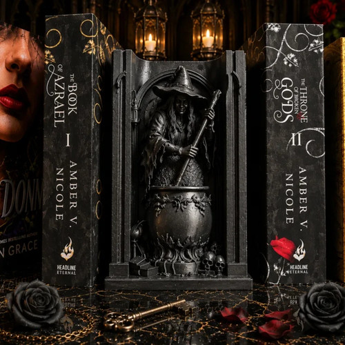 Brewer darkness book nook - brewer,