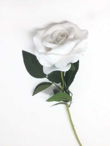 Long single stem velvet touch - long,