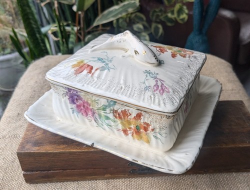 Antique sardine dish box - antique,