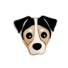 Jack Russell Terrier Puppy Dog