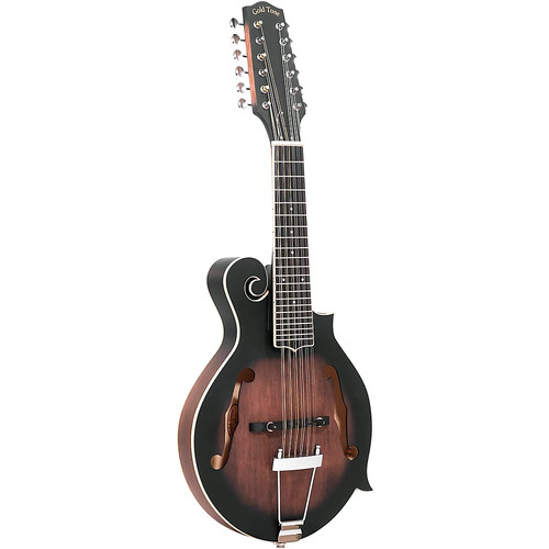 Gold tone 12string - gold,