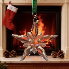 Swarovski Crystal 2025 ANNUAL