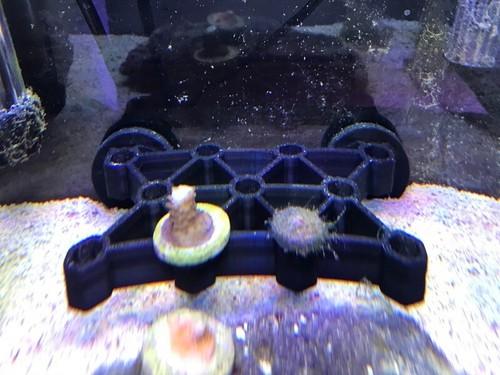 Aquarium coral frag rack - aquarium,