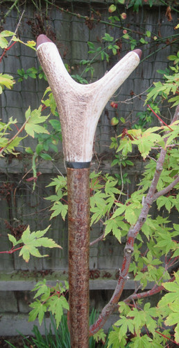Hand crafted hazel stagshorn - hand,
