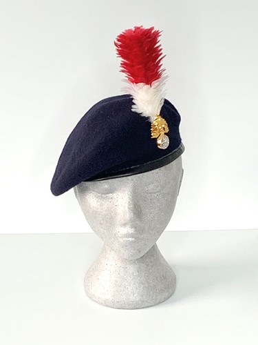 Royal regiment fusiliers - regiment, of