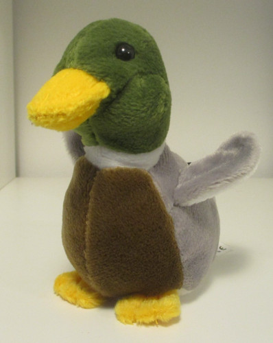 Leosco small mallard duck - leosco,