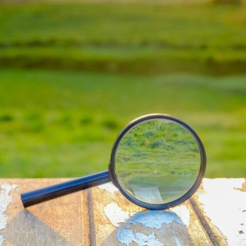 Large powerful magnifying - large,