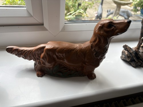 Brown long haired dashhound - brown,