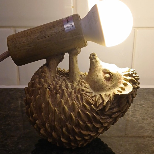 Hedgehog novelty table bedside - novelty,