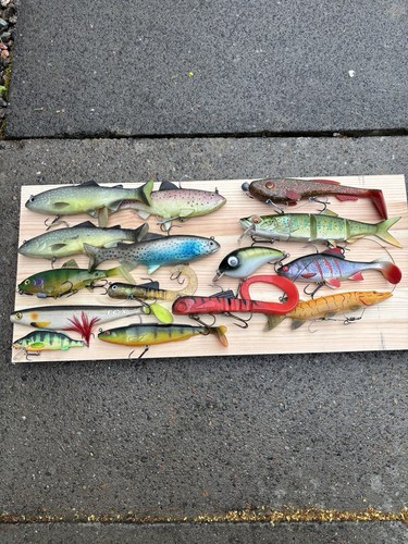 Pike fishing lures fox rage