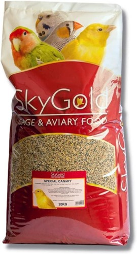Skygold special canary bird - special,