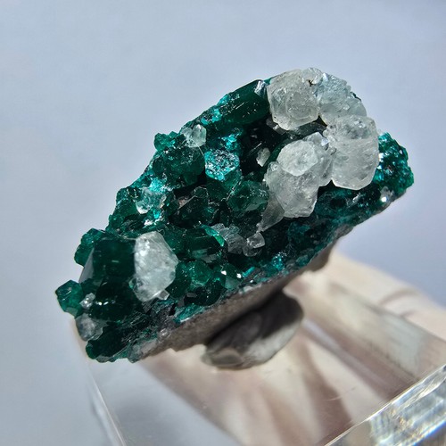 Rare dioptase calcite - dioptase,