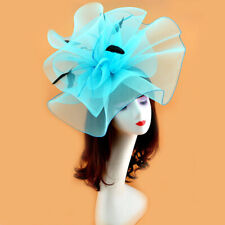 Wedding Royal Ascot Race LARGE Feather Flower Hair Hat Fascinator cilp Party